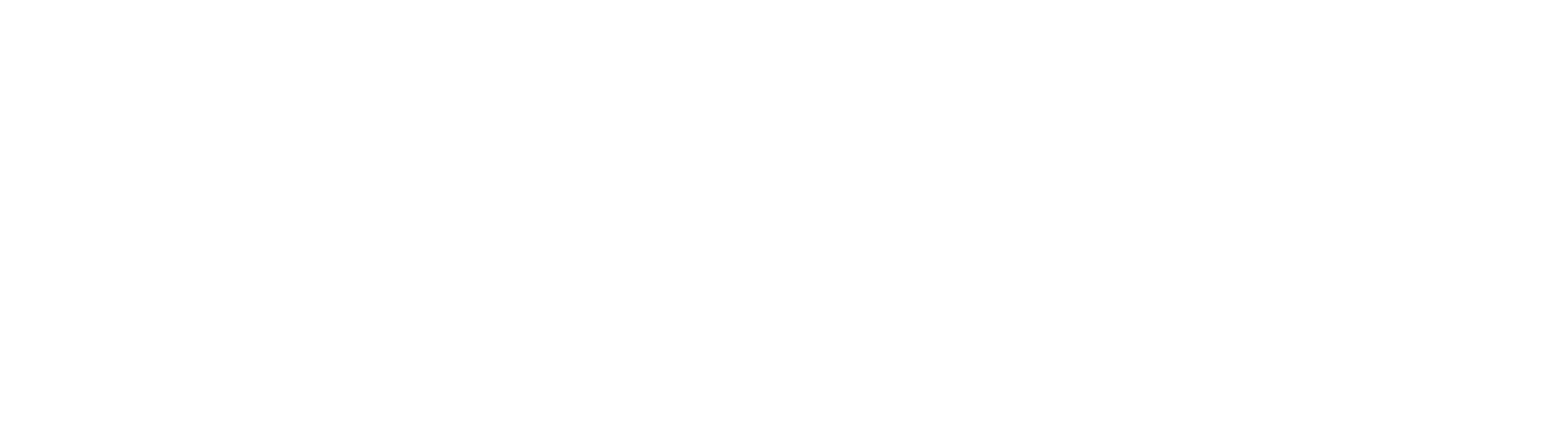 Flying Tiger Copenhagen logo